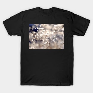 The first snow T-Shirt